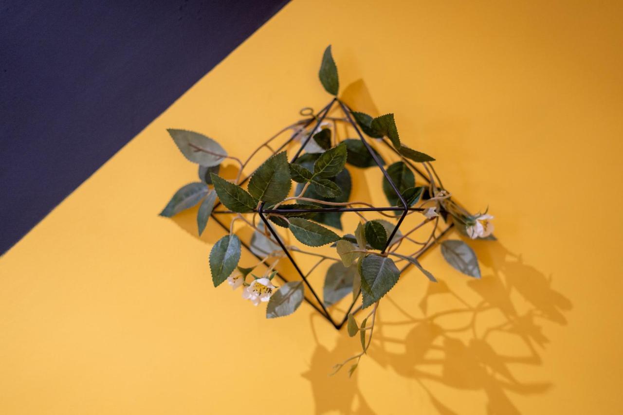 Capstay Color Valenciennes & Netflix Apartment